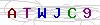 weryfikator